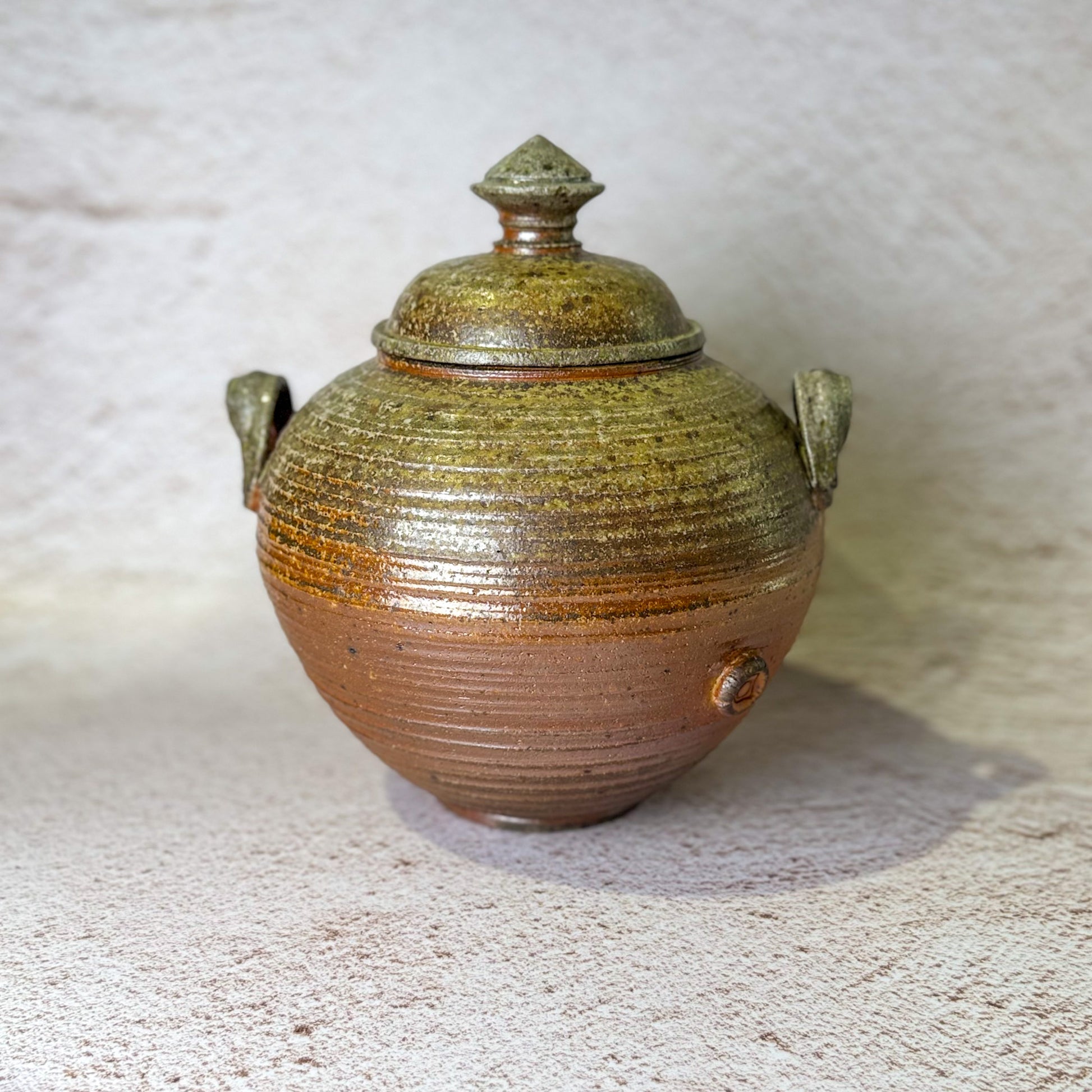 Wood / Soda Fired Textured Jar